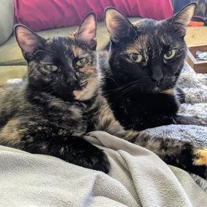 Meet your Posher, Jenny